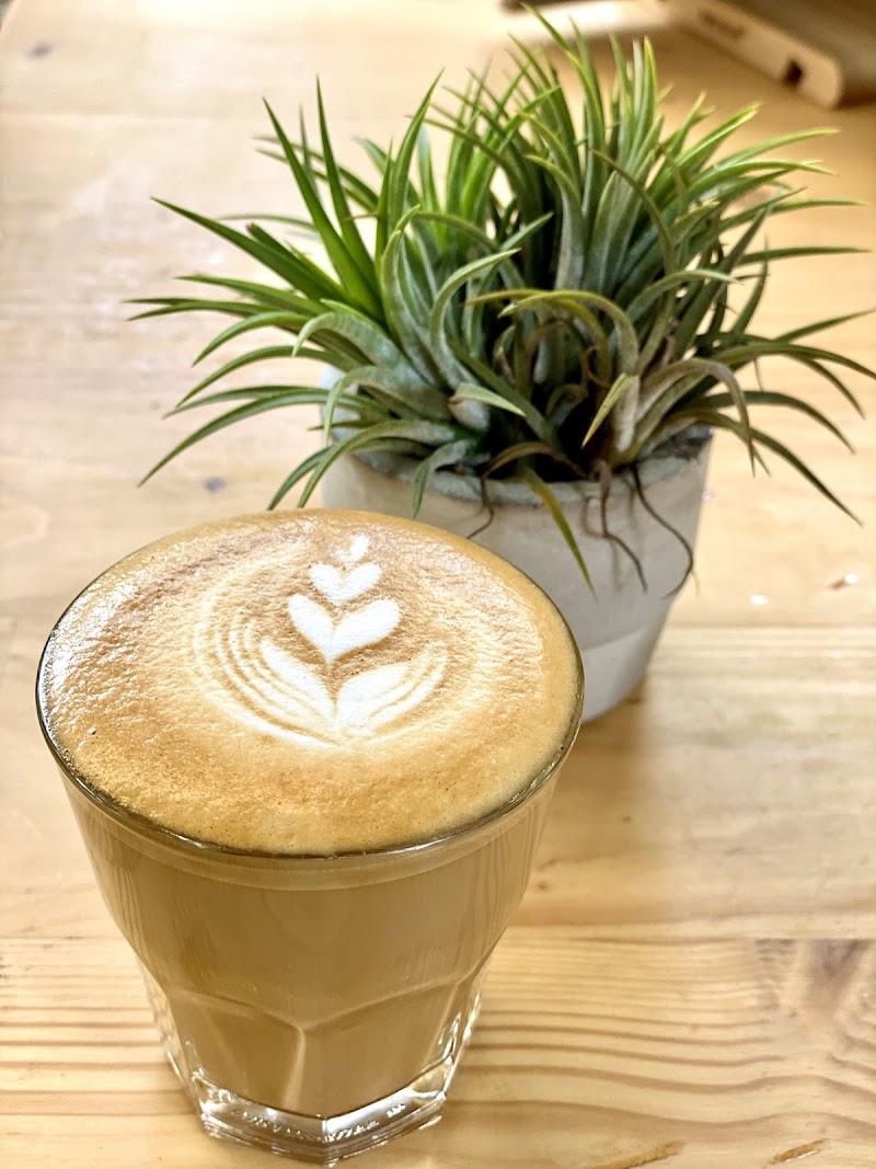A beautifully crafted latte in a clear glass with delicate leaf-shaped latte art sits on a light wooden table. Next to it, a vibrant green air plant in a small grey pot adds a fresh touch to this inviting cafe scene.